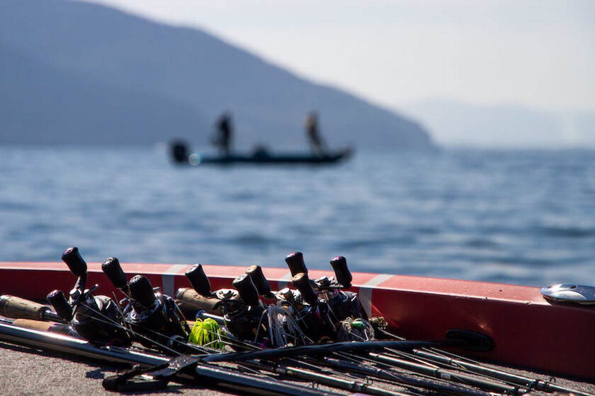 How to Catch Big Bass in the Heat of Summer: Tactics That Actually Work